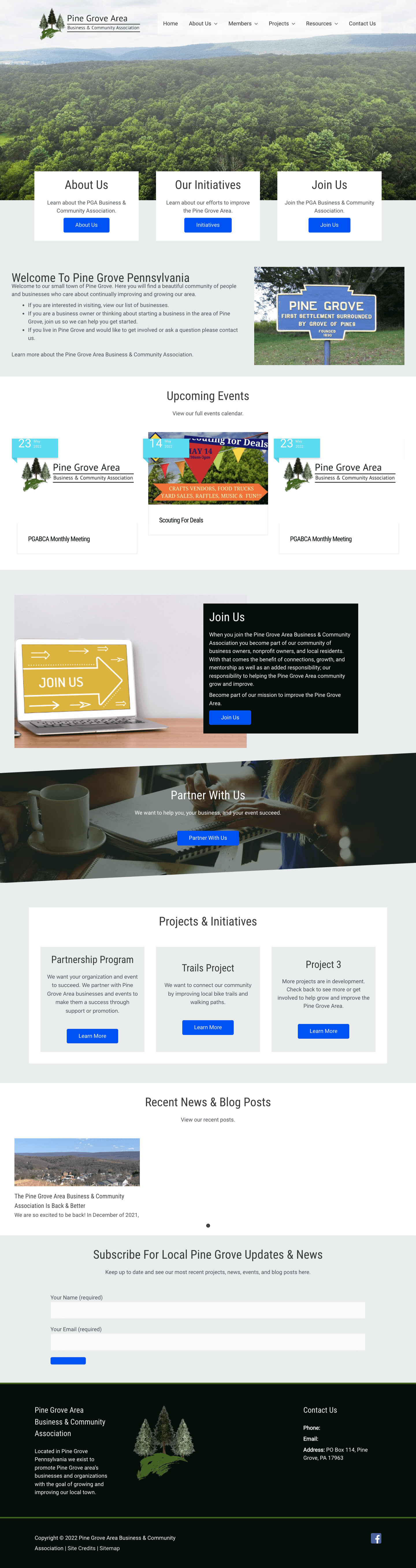 Pine Grove Area Business Association Website home page design and marketing.