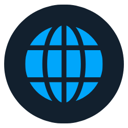 An Internet globe icon
