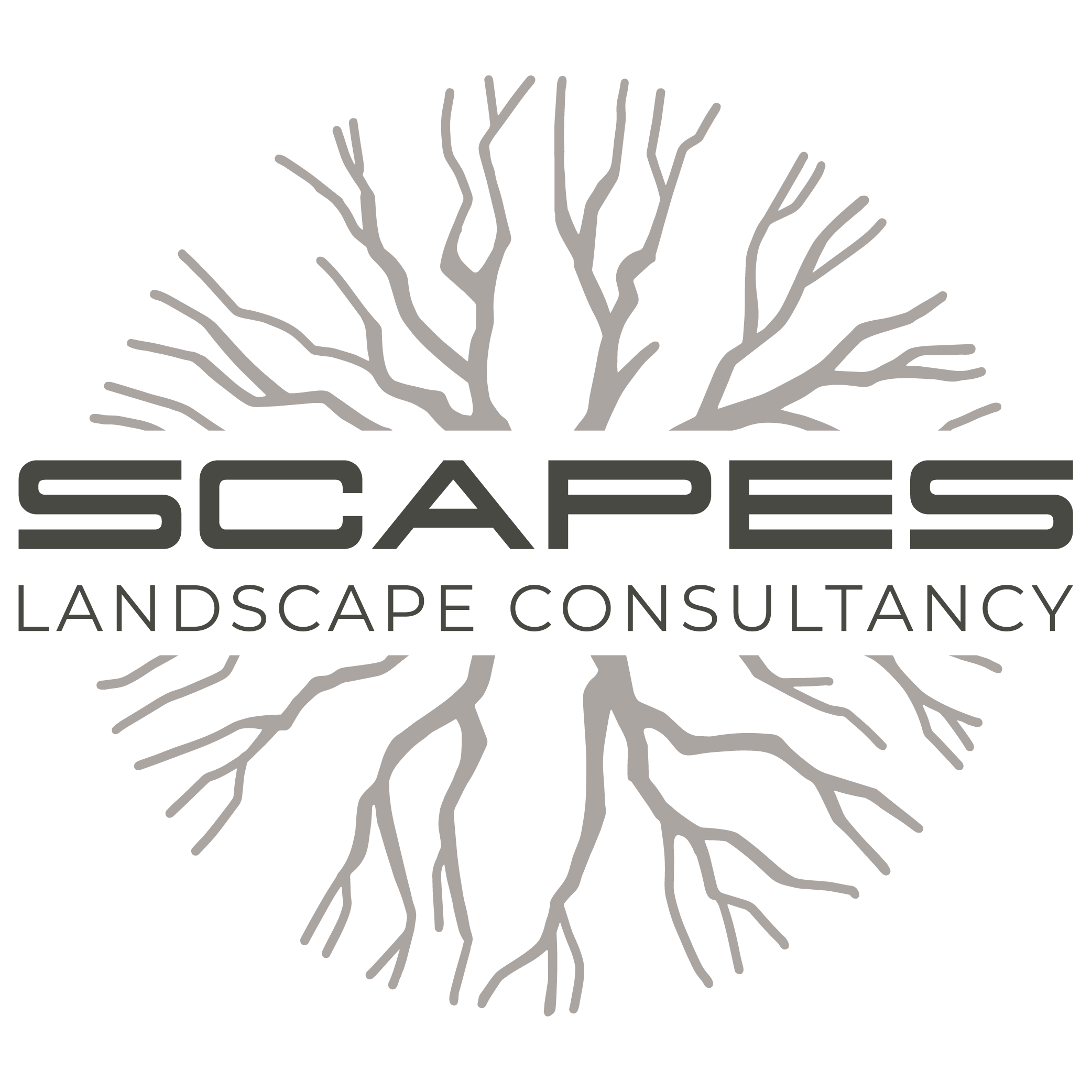 Scapes Landscape Consultancy logo